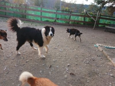 f:id:roukenhome-ann:20181123054640j:plain