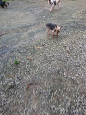 f:id:roukenhome-ann:20181123054702j:plain