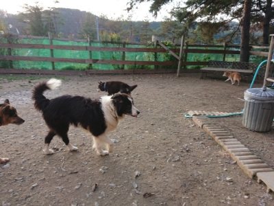 f:id:roukenhome-ann:20181123054710j:plain