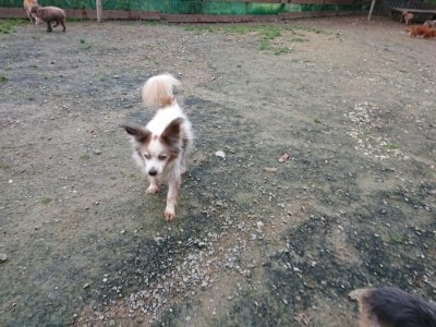 f:id:roukenhome-ann:20181123054733j:plain