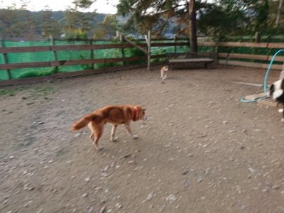 f:id:roukenhome-ann:20181123054737j:plain