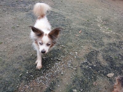 f:id:roukenhome-ann:20181123054750j:plain