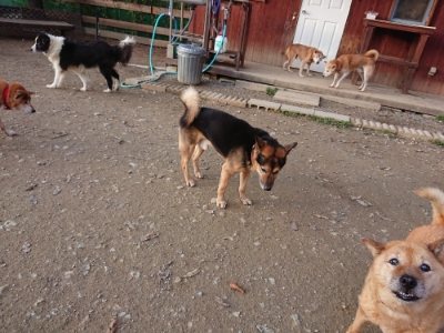 f:id:roukenhome-ann:20181123054805j:plain