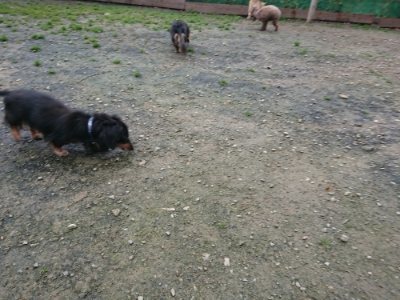 f:id:roukenhome-ann:20181123054830j:plain