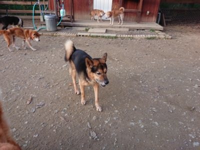 f:id:roukenhome-ann:20181123054835j:plain