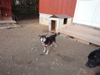 f:id:roukenhome-ann:20181123054842j:plain