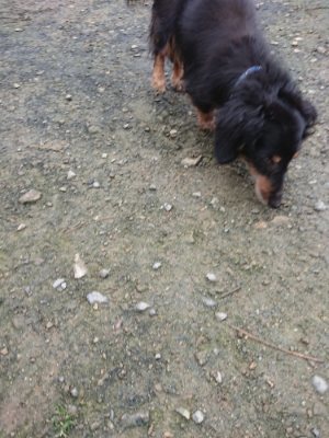 f:id:roukenhome-ann:20181123054859j:plain
