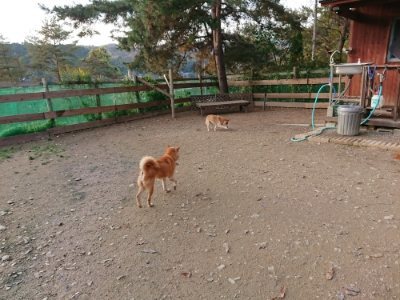 f:id:roukenhome-ann:20181123054918j:plain