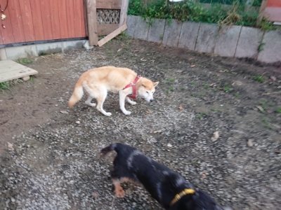 f:id:roukenhome-ann:20181123054933j:plain