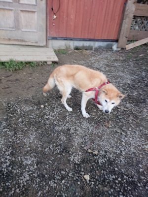 f:id:roukenhome-ann:20181123054938j:plain