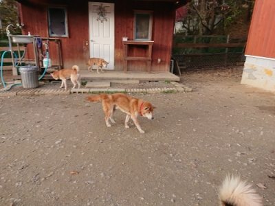 f:id:roukenhome-ann:20181123054955j:plain