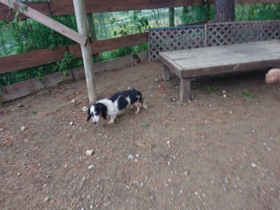 f:id:roukenhome-ann:20181123055022j:plain