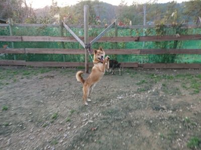 f:id:roukenhome-ann:20181123055104j:plain