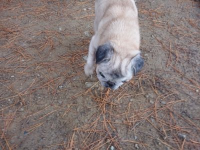 f:id:roukenhome-ann:20181123182444j:plain
