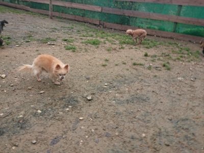 f:id:roukenhome-ann:20181123182507j:plain