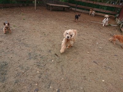 f:id:roukenhome-ann:20181123182512j:plain
