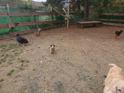 f:id:roukenhome-ann:20181123182517j:plain