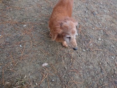f:id:roukenhome-ann:20181123182600j:plain