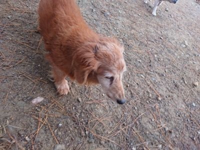 f:id:roukenhome-ann:20181123182605j:plain