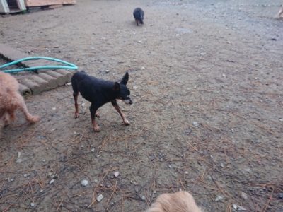 f:id:roukenhome-ann:20181123182714j:plain