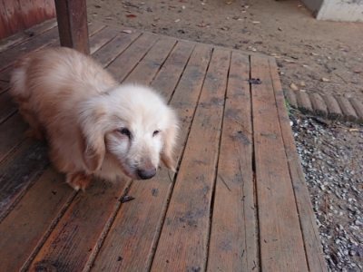 f:id:roukenhome-ann:20181123182732j:plain