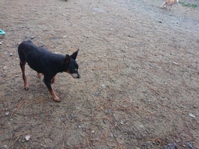f:id:roukenhome-ann:20181123182739j:plain