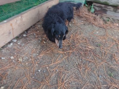 f:id:roukenhome-ann:20181123182929j:plain