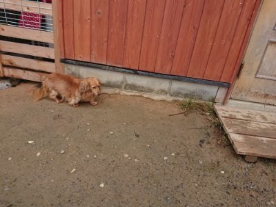 f:id:roukenhome-ann:20181123183130j:plain