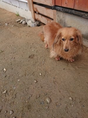 f:id:roukenhome-ann:20181123183214j:plain