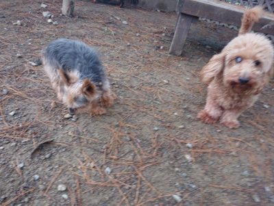 f:id:roukenhome-ann:20181123183322j:plain