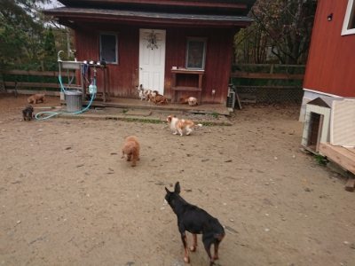 f:id:roukenhome-ann:20181123183344j:plain