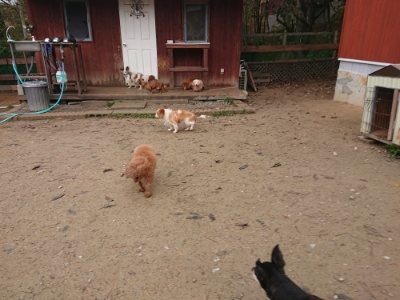 f:id:roukenhome-ann:20181123183417j:plain