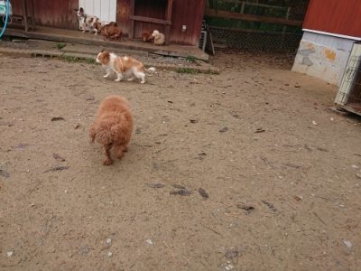 f:id:roukenhome-ann:20181123183422j:plain
