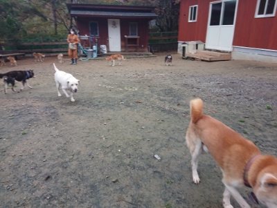 f:id:roukenhome-ann:20181123183457j:plain