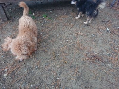 f:id:roukenhome-ann:20181123183514j:plain