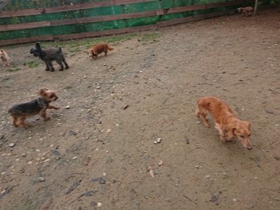 f:id:roukenhome-ann:20181123183524j:plain