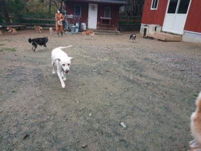 f:id:roukenhome-ann:20181123183529j:plain