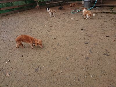 f:id:roukenhome-ann:20181123183545j:plain