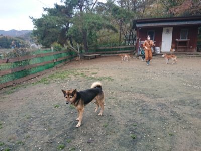 f:id:roukenhome-ann:20181123183604j:plain