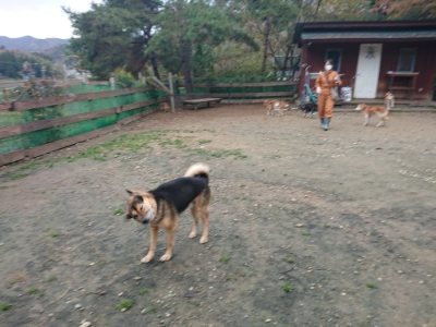f:id:roukenhome-ann:20181123183721j:plain