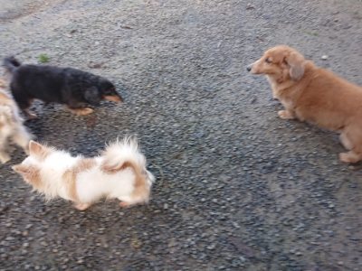 f:id:roukenhome-ann:20181123183735j:plain