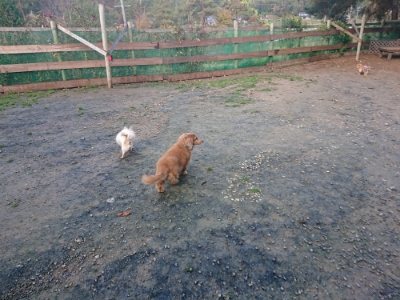 f:id:roukenhome-ann:20181123183821j:plain