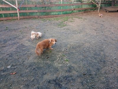f:id:roukenhome-ann:20181123183827j:plain