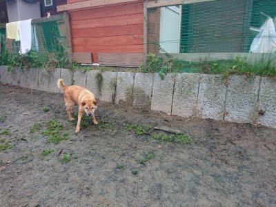 f:id:roukenhome-ann:20181123183931j:plain