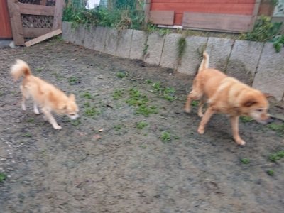 f:id:roukenhome-ann:20181123183946j:plain