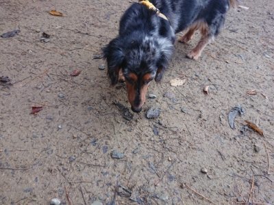 f:id:roukenhome-ann:20181123184054j:plain
