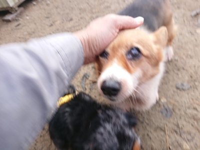 f:id:roukenhome-ann:20181123184141j:plain