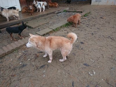 f:id:roukenhome-ann:20181123184240j:plain