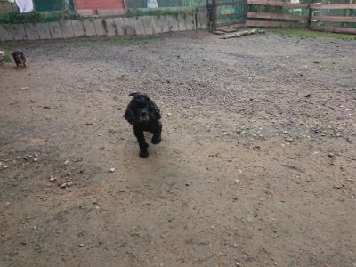 f:id:roukenhome-ann:20181123184250j:plain