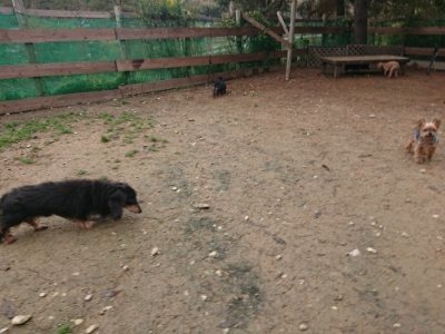 f:id:roukenhome-ann:20181123184255j:plain